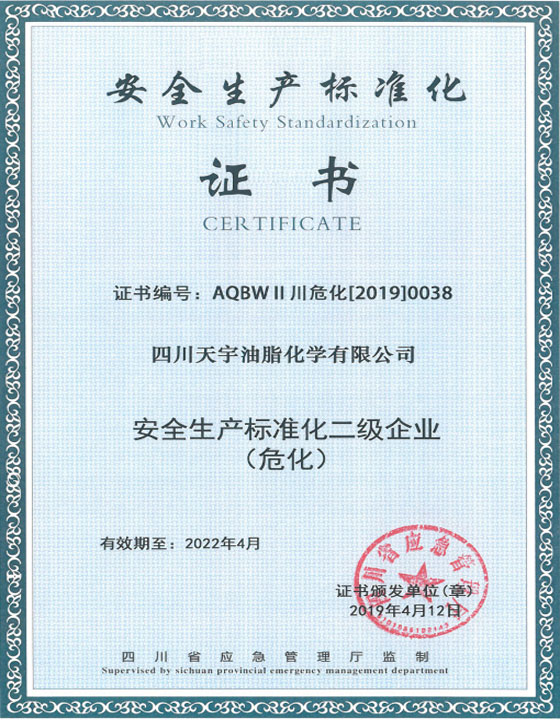 安全标准化二级企业证书